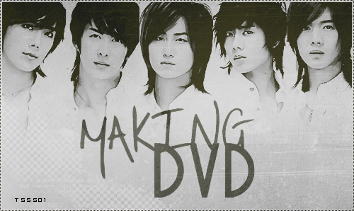 ()SS501 2010 Special Concert Making,